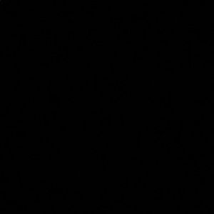 Meet your Posher, Pat